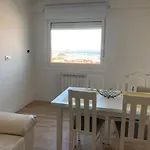 Magnifico Piso Con Gran Terraza En Centro De